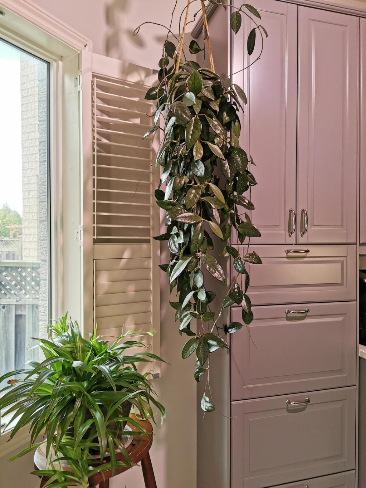 4 Bedroom 3 Washroom Charming Home In Markham With Warm Cozy Vibe Екстер'єр фото